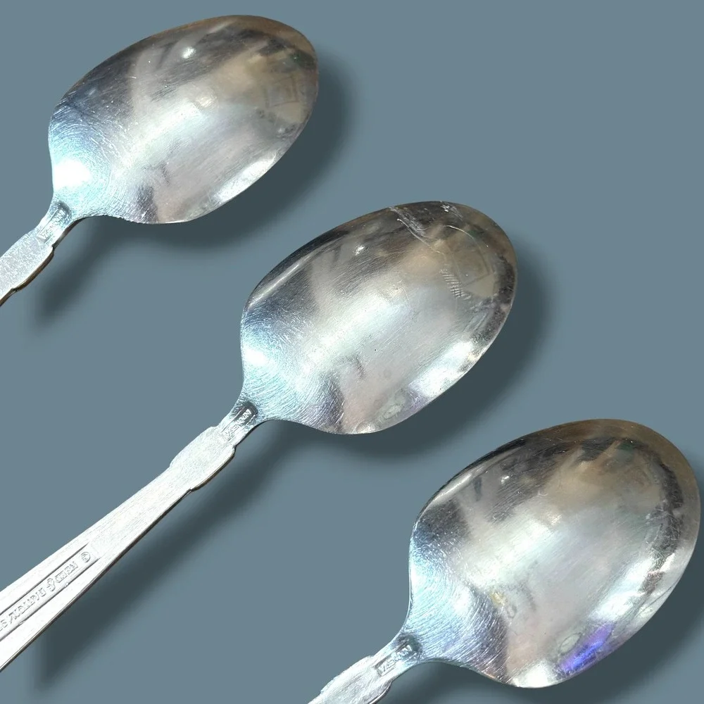 Reed & Barton Select Costa Brava Stainless Steel 7 1/4 in Soup Spoon Set of 3